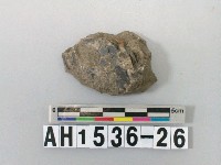 藏品(不明膠結物塊)的圖片